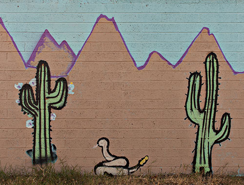 cactus mural on wall