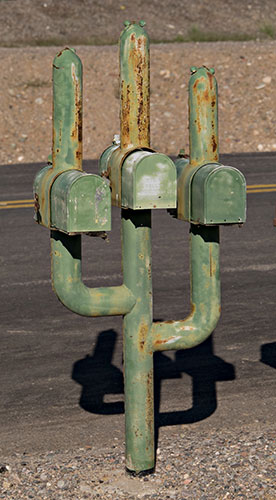 cactus themed mailbox holder