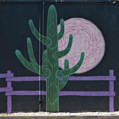 cactus themed mural