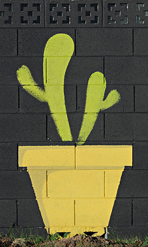 Cactus mural