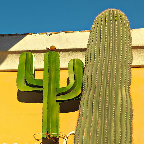 cactus sculpture