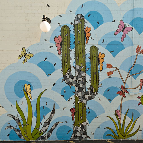 cactus themed mural