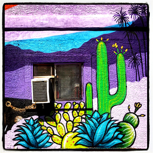 cactus themed mural