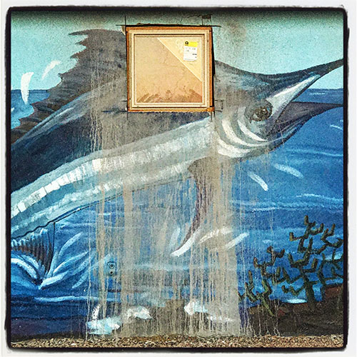 swordfish mural