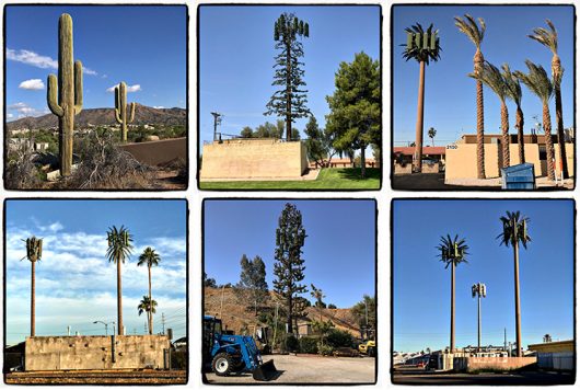 cell towers as trees