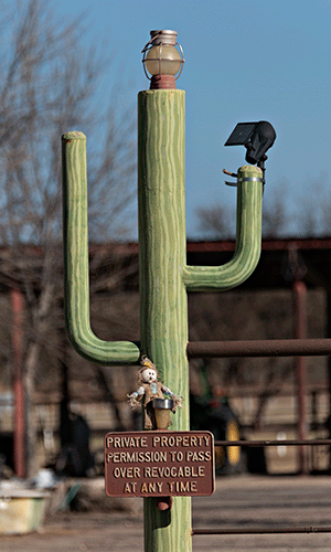 cactus themed sign post